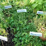 Готель Kneipp- Und Wellvitalhotel Edelweiss 4*
