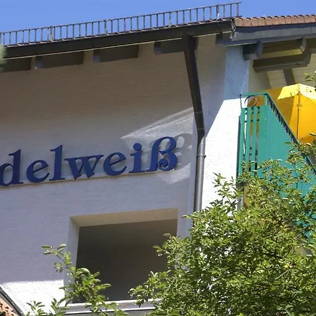 Kneipp- Und Wellvitalhotel Edelweiss Szálloda