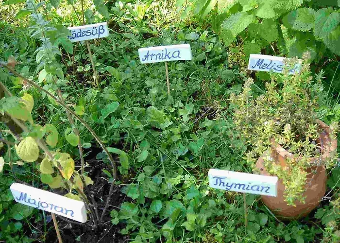 Hotel Kneipp- Und Wellvitalhotel Edelweiss 4*